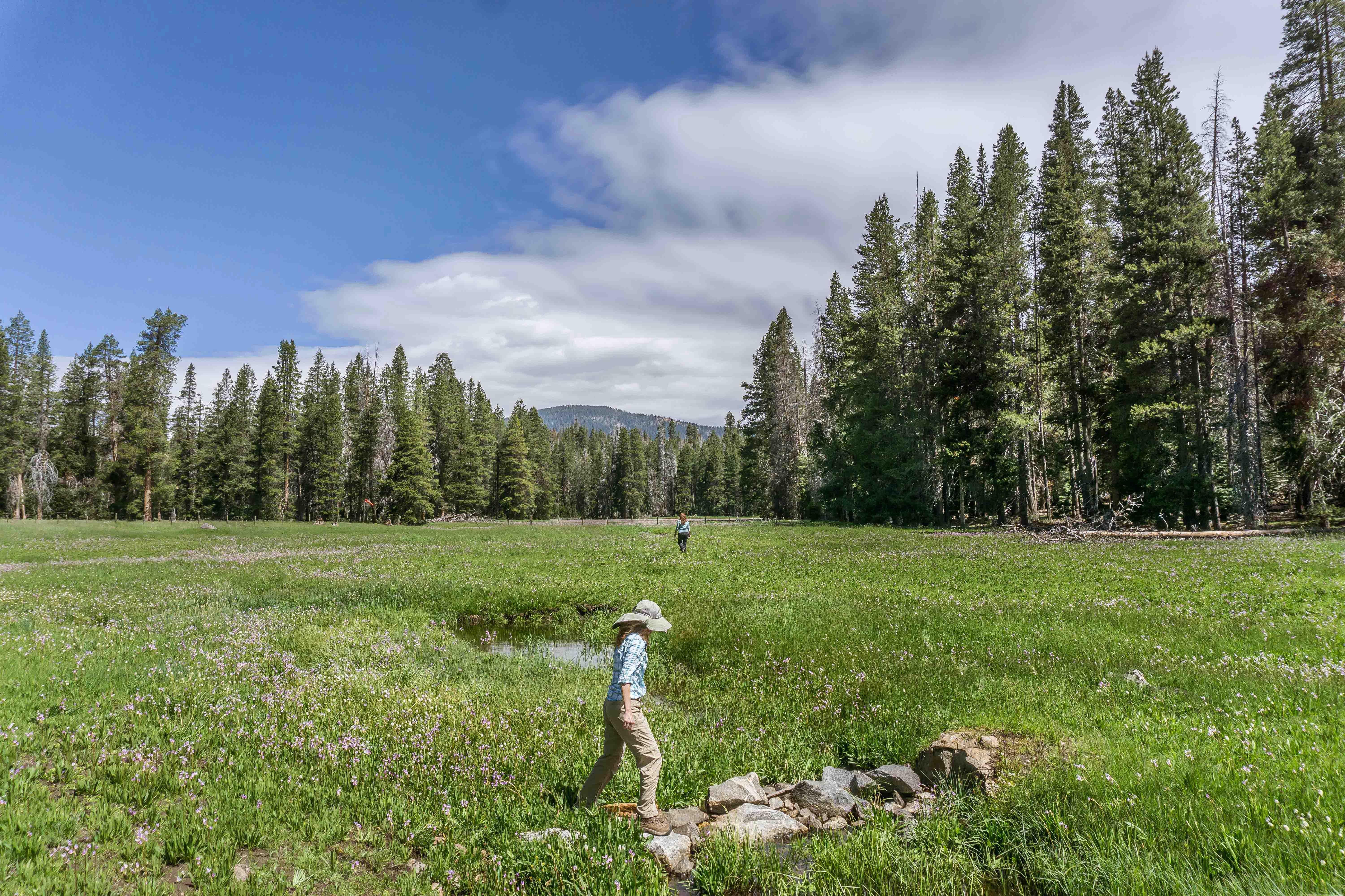 Holiday Inn Express & Suites Oakhurst-Yosemite Park Area By Ihg Экстерьер фото